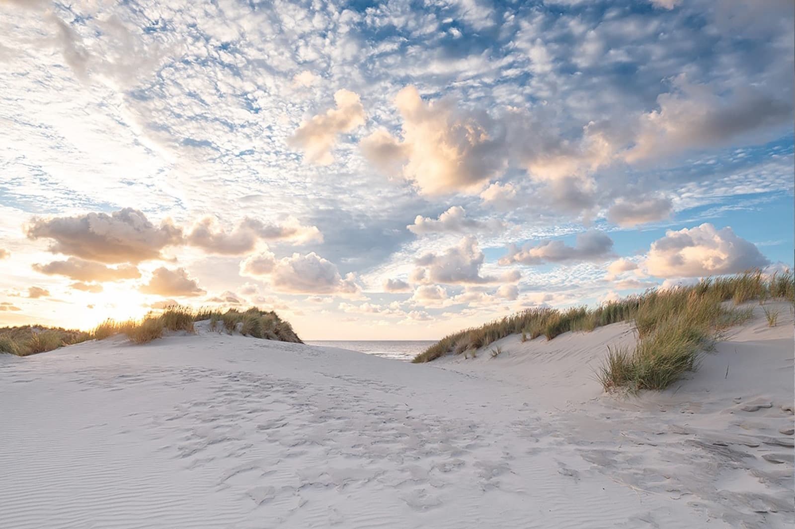 Strand Terschelling nabij Elements strandpaviljoen Midsland aan Zee verhuur