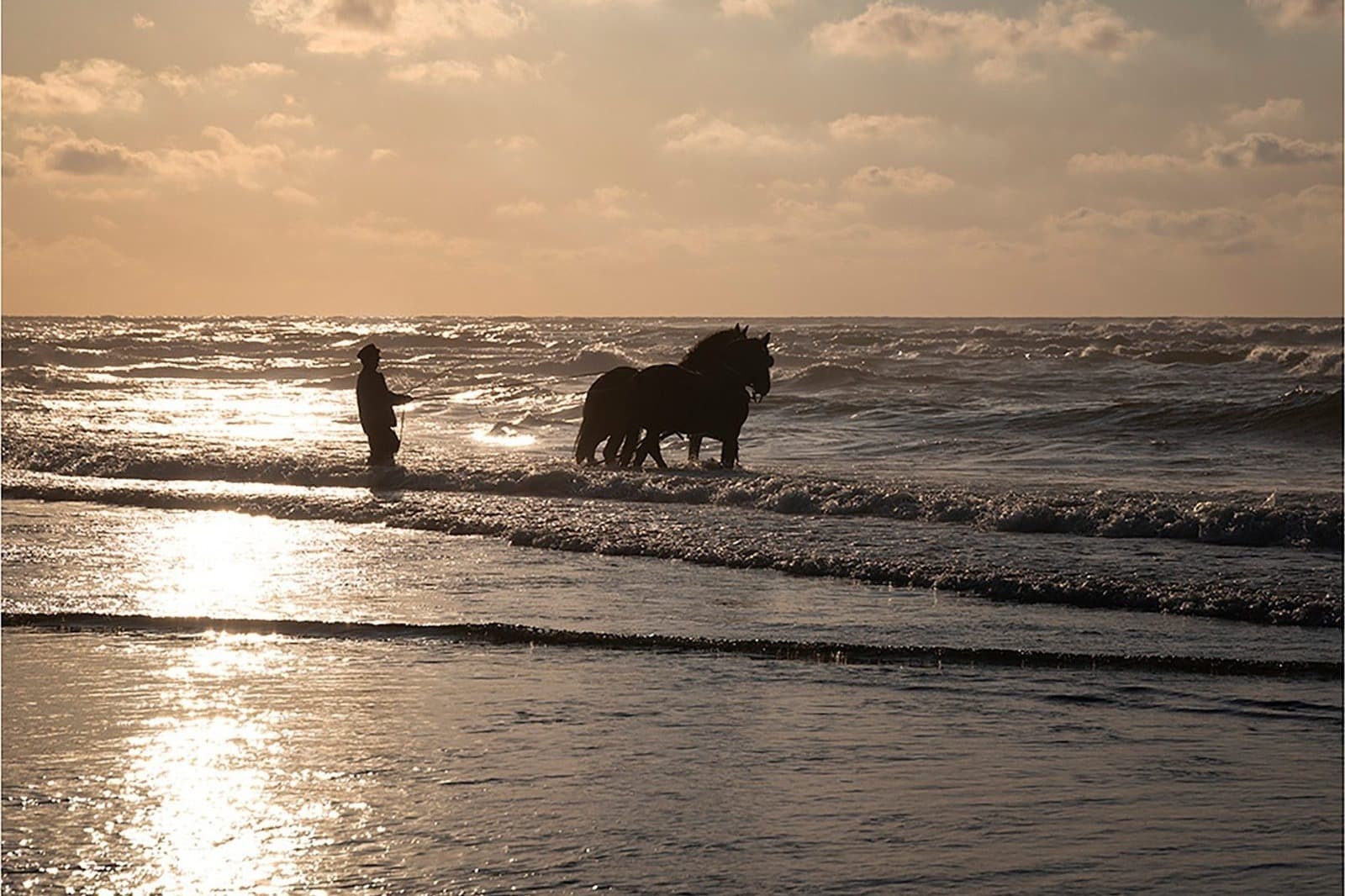Breed strand Terschelling nabij Elements strandpaviljoen Midsland