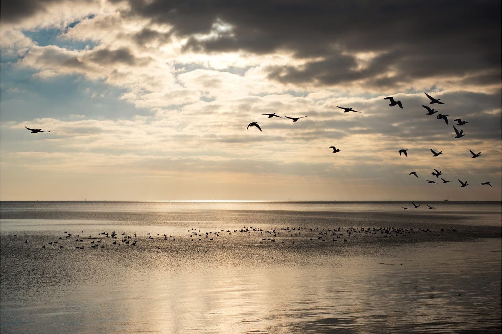 Wadden Terschelling bij avondlicht, Waddeneiland sfeer vakantie